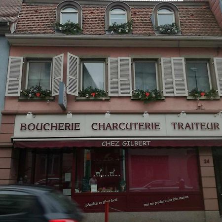 "Cote Nature", Appartement Cosy Au Coeur De Munster مونستر المظهر الخارجي الصورة