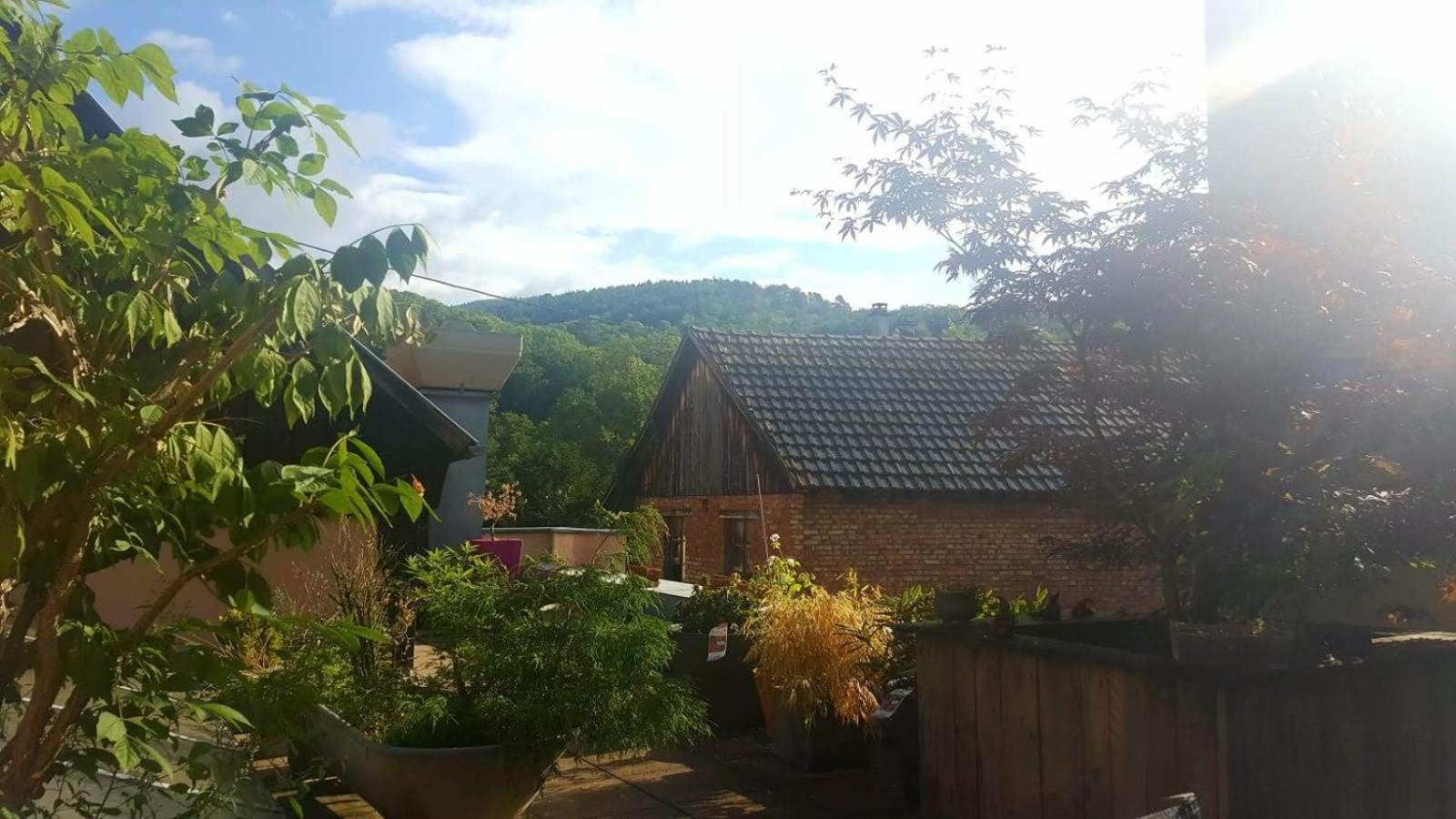 "Cote Nature", Appartement Cosy Au Coeur De Munster مونستر المظهر الخارجي الصورة