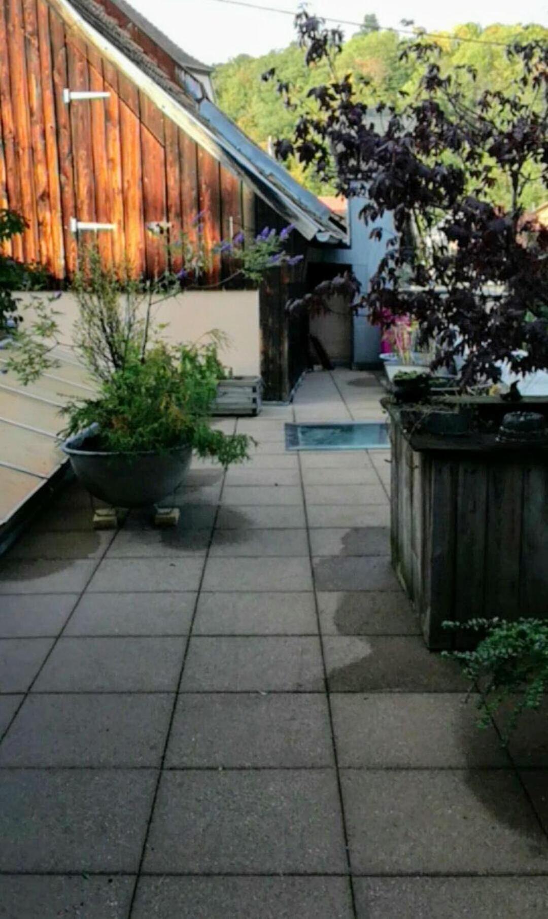 "Cote Nature", Appartement Cosy Au Coeur De Munster مونستر المظهر الخارجي الصورة