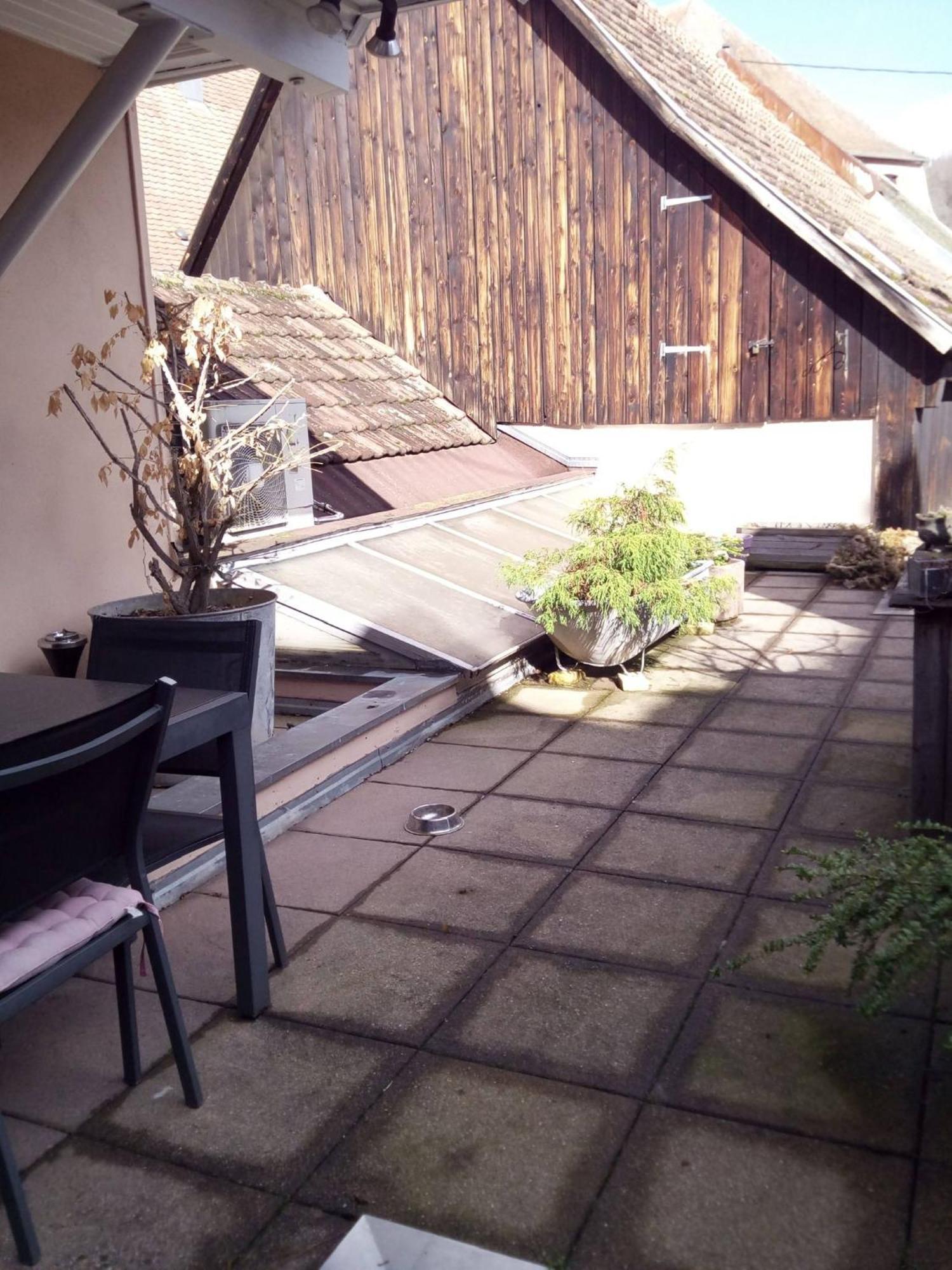 "Cote Nature", Appartement Cosy Au Coeur De Munster مونستر المظهر الخارجي الصورة