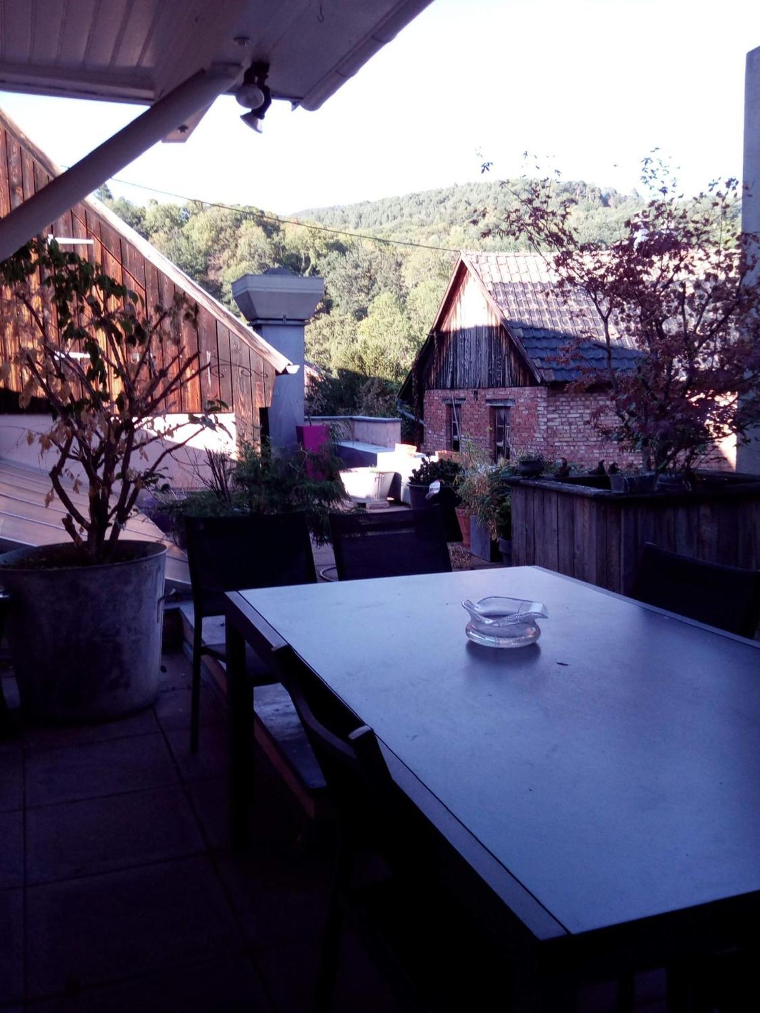 "Cote Nature", Appartement Cosy Au Coeur De Munster مونستر المظهر الخارجي الصورة